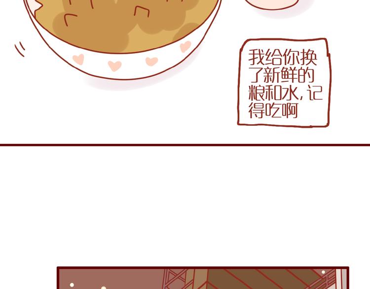 《家用猫咪美妆指南》第15话 节食！减肥！ 第28页