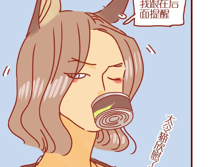 《家用猫咪美妆指南》第17话 这猫不得了 第17页