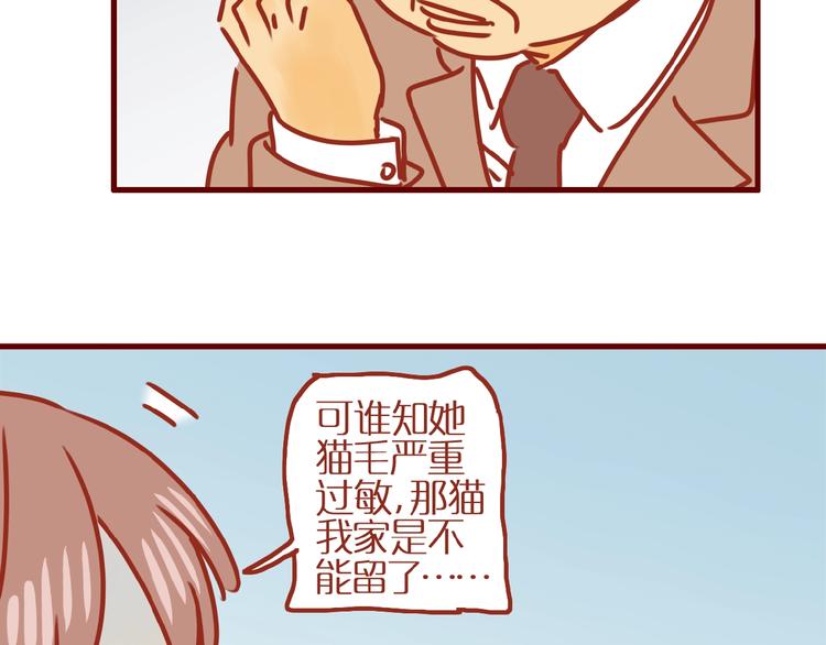 《家用猫咪美妆指南》第17话 这猫不得了 第45页