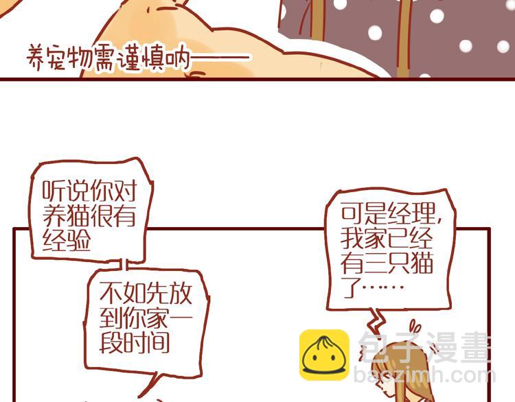 《家用猫咪美妆指南》第17话 这猫不得了 第47页
