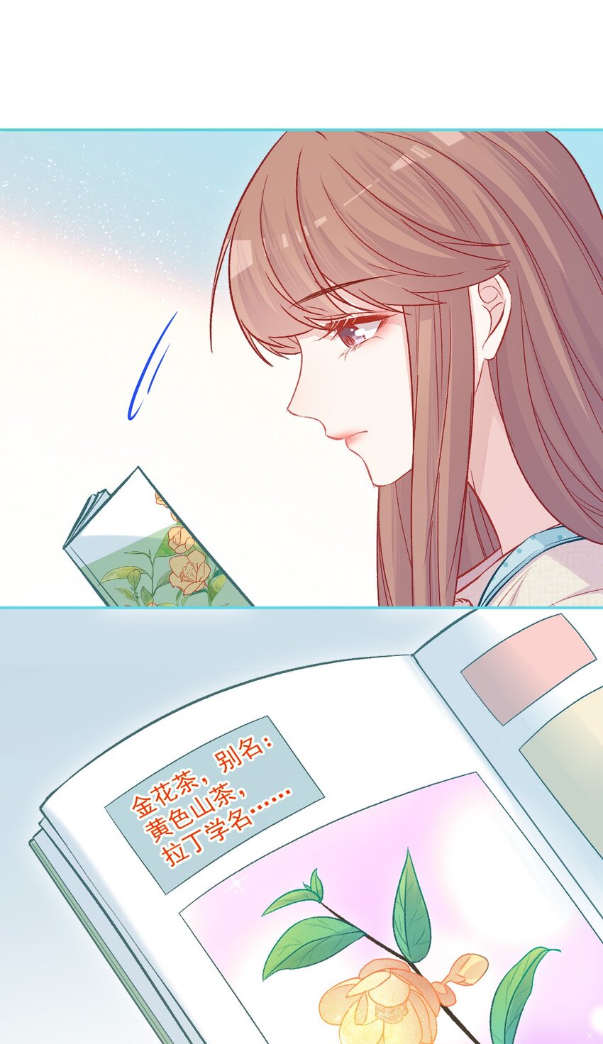 《看见时间的少女》第16话 金花茶 第33页