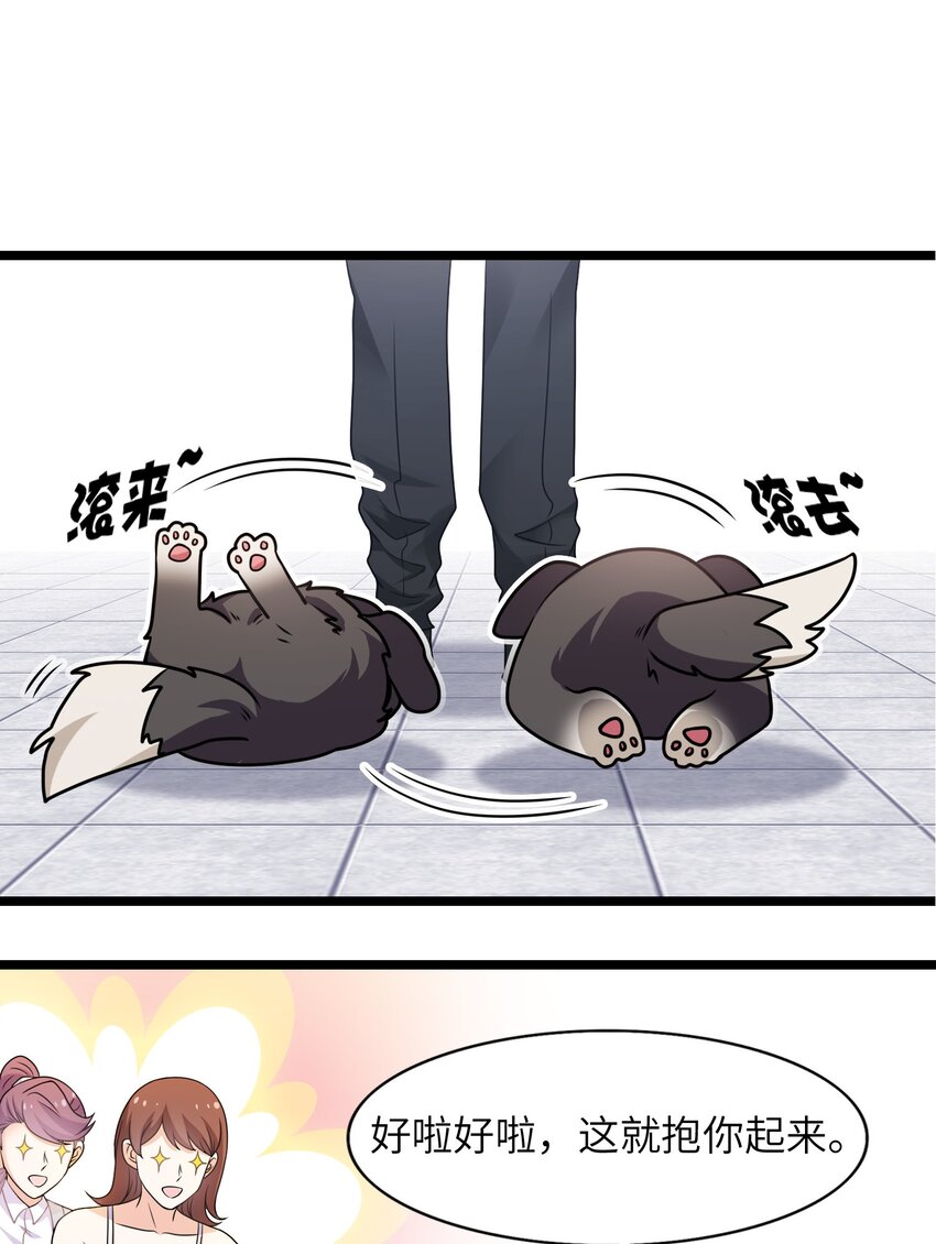 《我的契约兽是中华田园犭》第三话 谁才是神级？！ 第20页