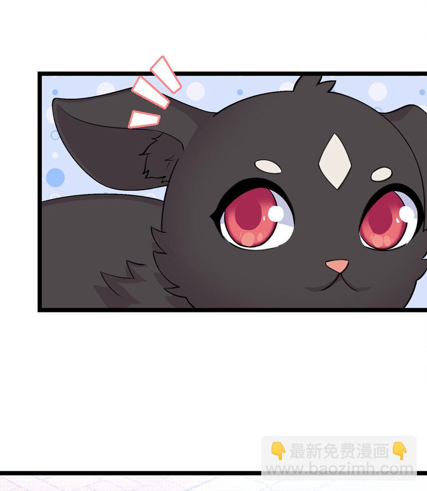 《我的契约兽是中华田园犭》第十四话 另一场测试 第32页