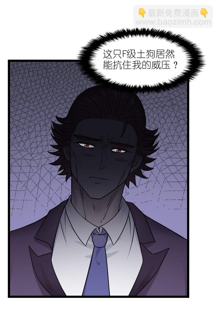 《我的契约兽是中华田园犭》第十七话 线索串联 第17页