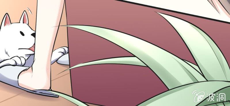 《影帝求宠编剧大大爱我吧》第12.5话番外 女装？搞基？新年福利！ 第18页
