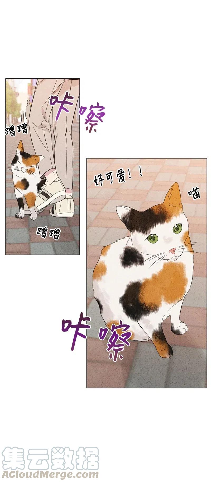 《记忆残留的地方》10 有流星划过 第43页