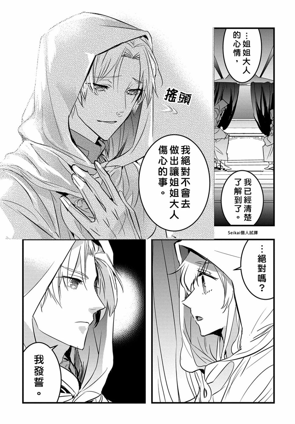 《转生后的恶役千金并不期望报仇》第8话 第29页
