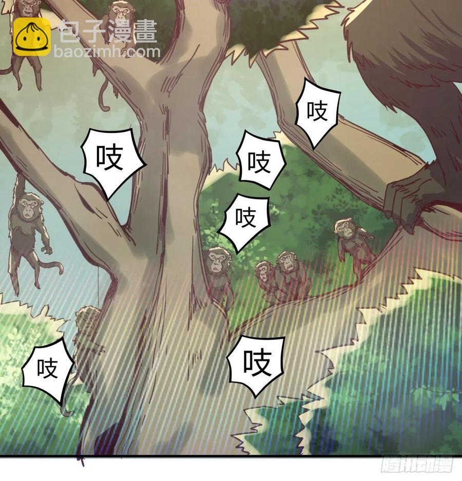 《荒岛换身游戏》智斗猴群 第10页