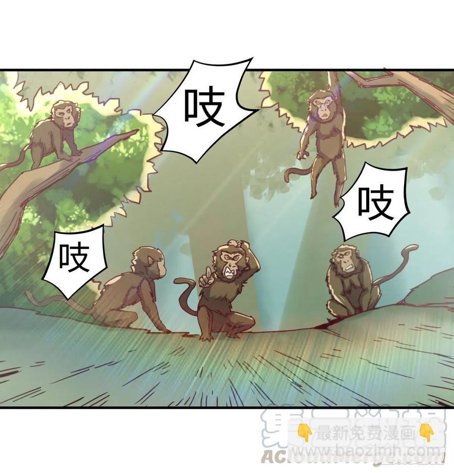 《荒岛换身游戏》智斗猴群 第11页