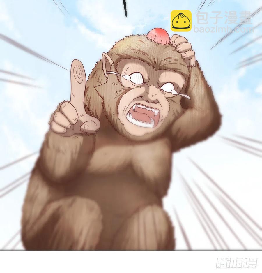 《荒岛换身游戏》智斗猴群 第14页