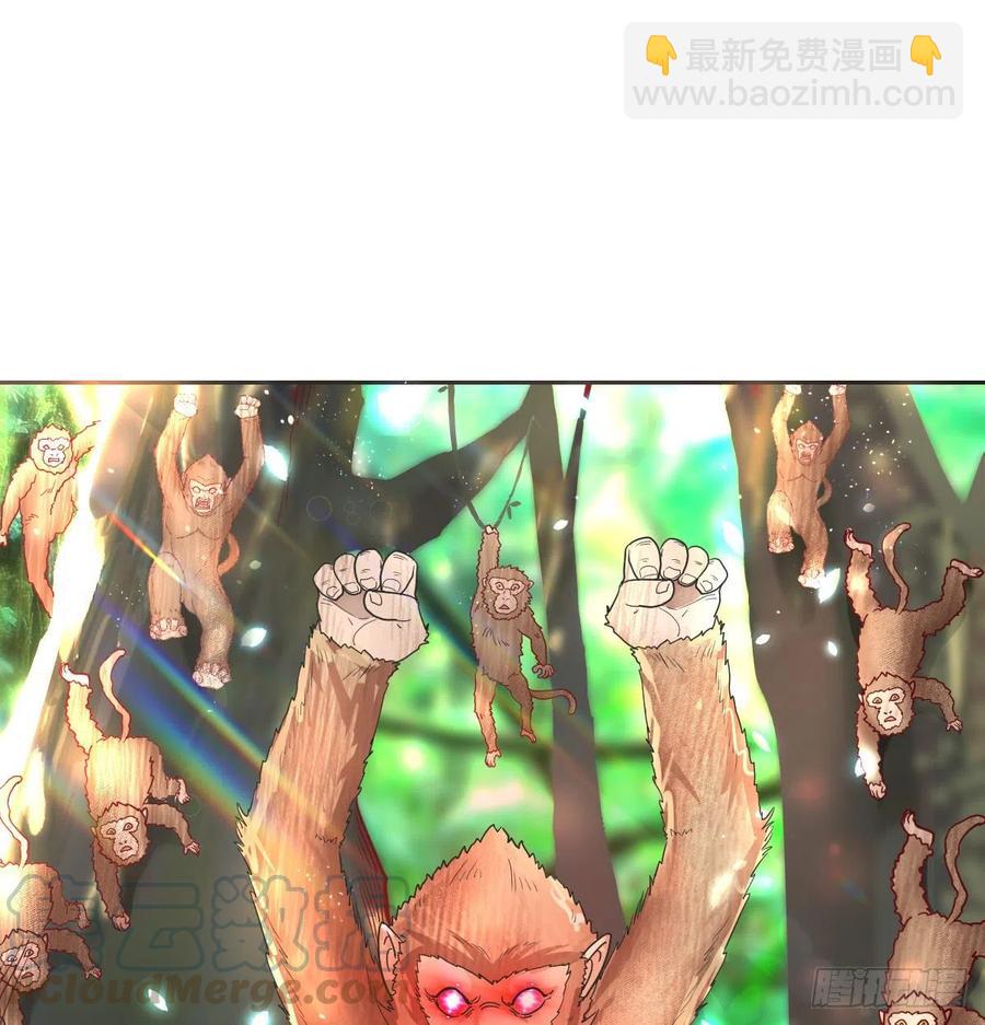 《荒岛换身游戏》智斗猴群 第15页