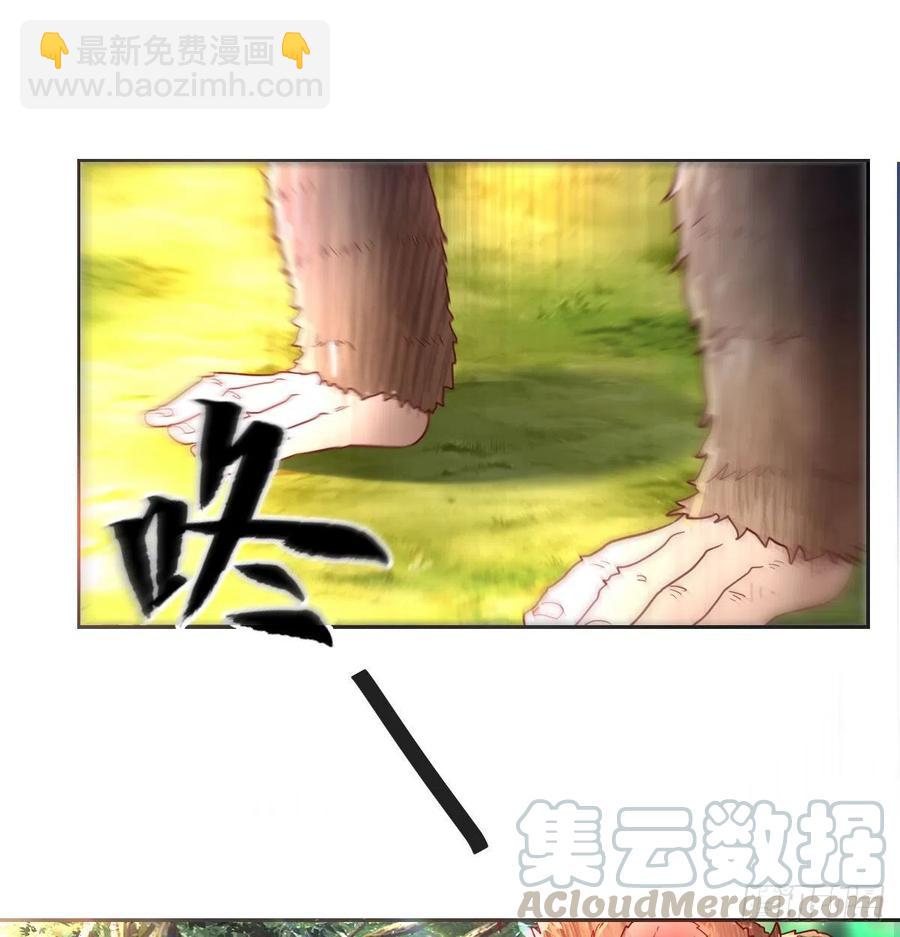 《荒岛换身游戏》智斗猴群 第17页