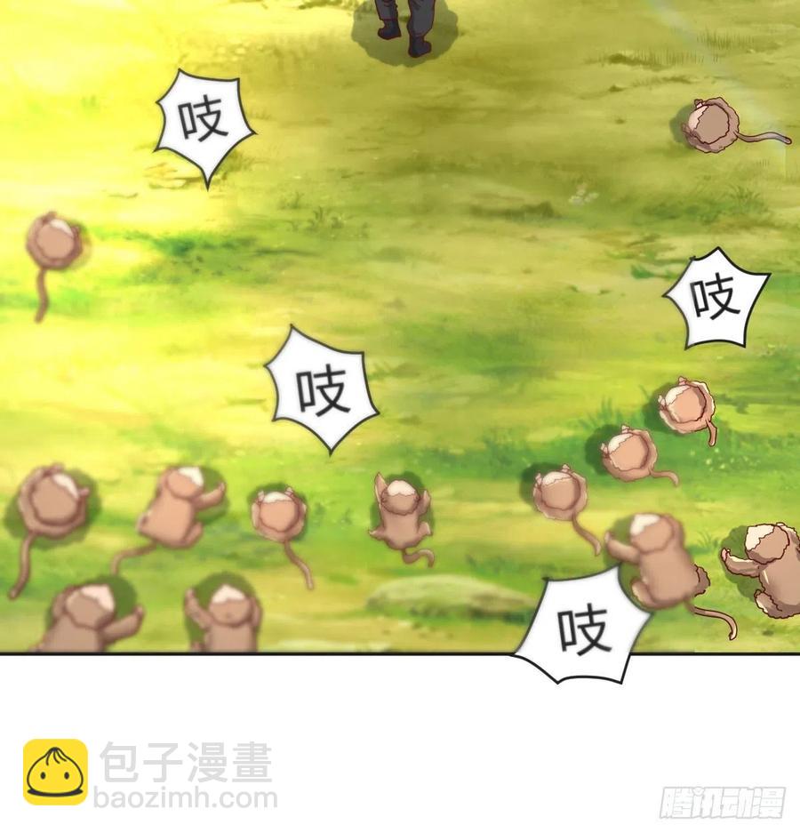 《荒岛换身游戏》智斗猴群 第20页