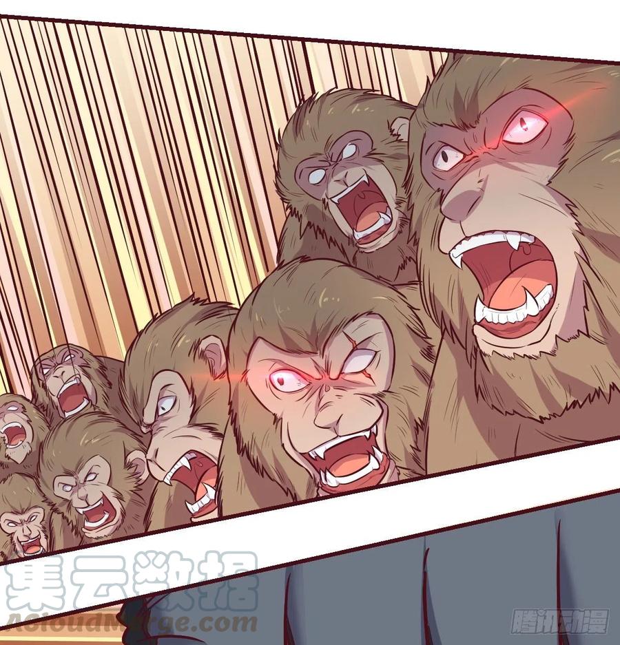 《荒岛换身游戏》智斗猴群 第25页