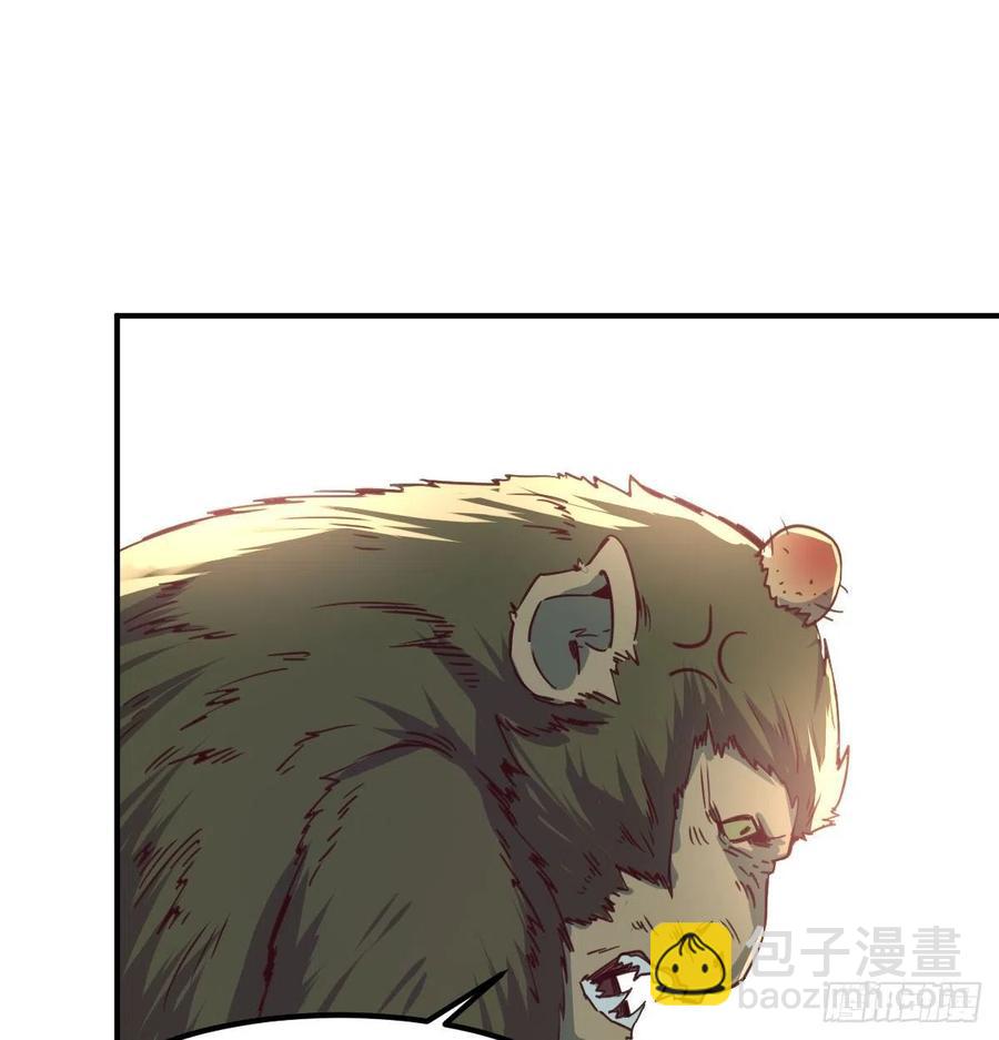 《荒岛换身游戏》智斗猴群 第2页