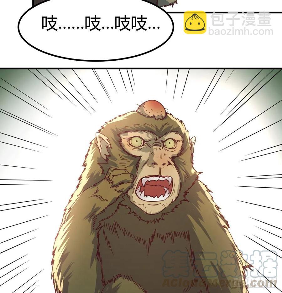 《荒岛换身游戏》智斗猴群 第3页