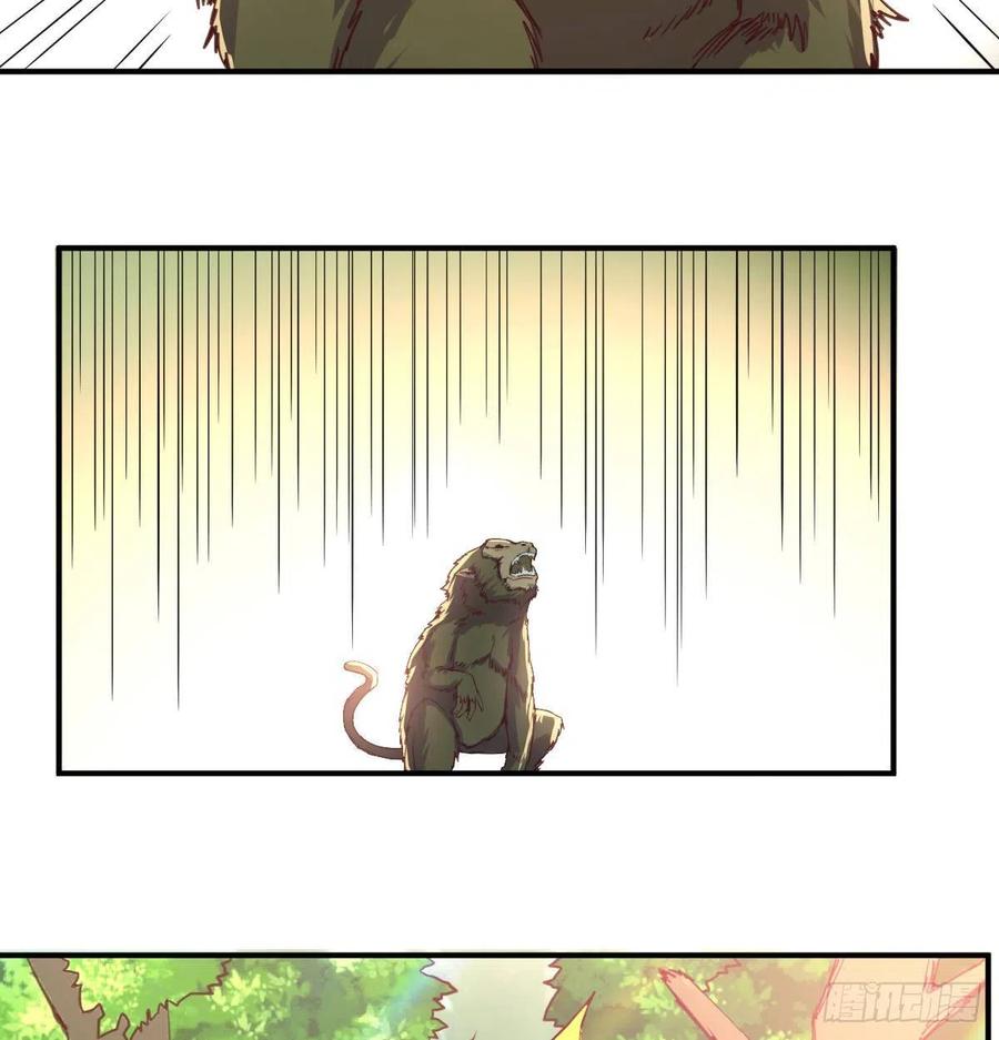 《荒岛换身游戏》智斗猴群 第4页