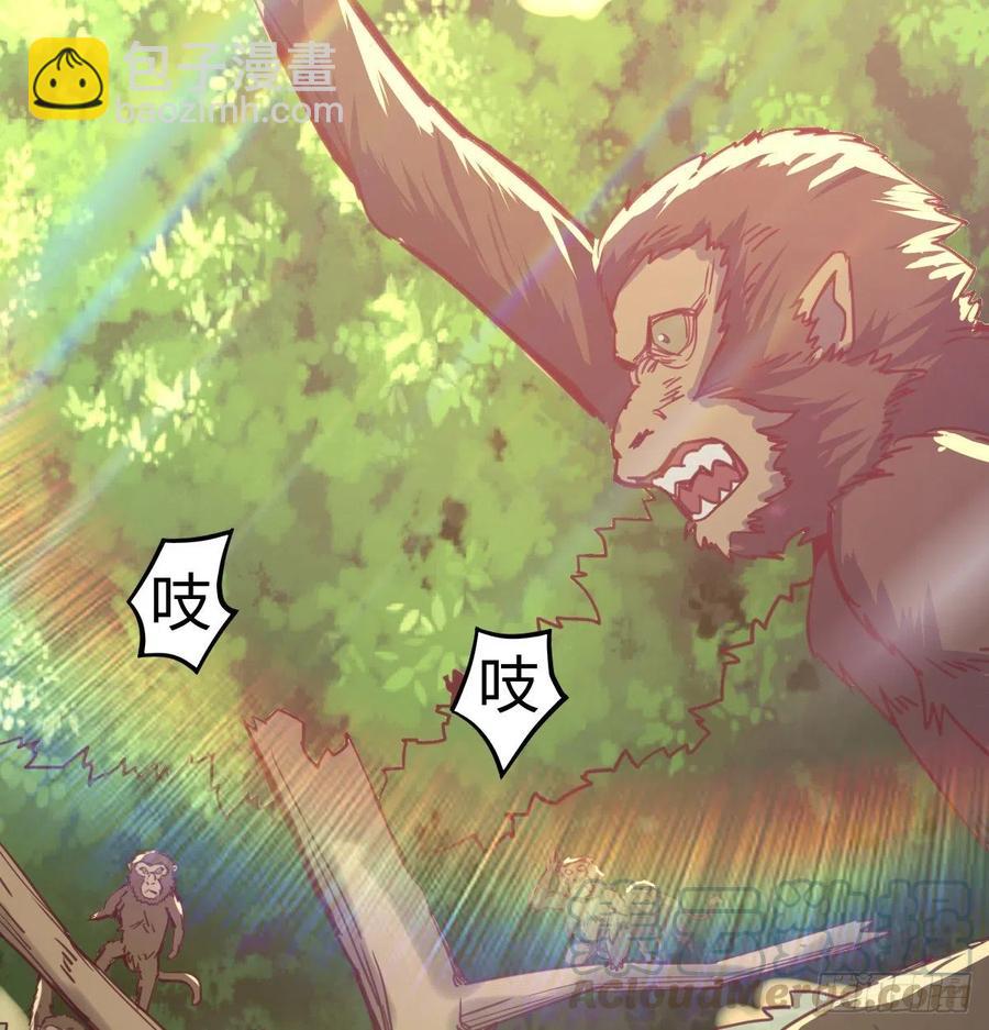 《荒岛换身游戏》智斗猴群 第9页