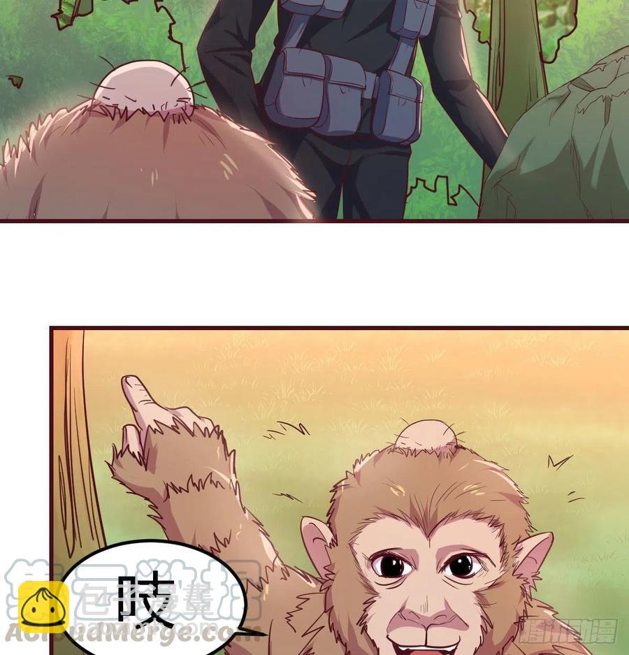 《荒岛换身游戏》给猴子调酒 第25页