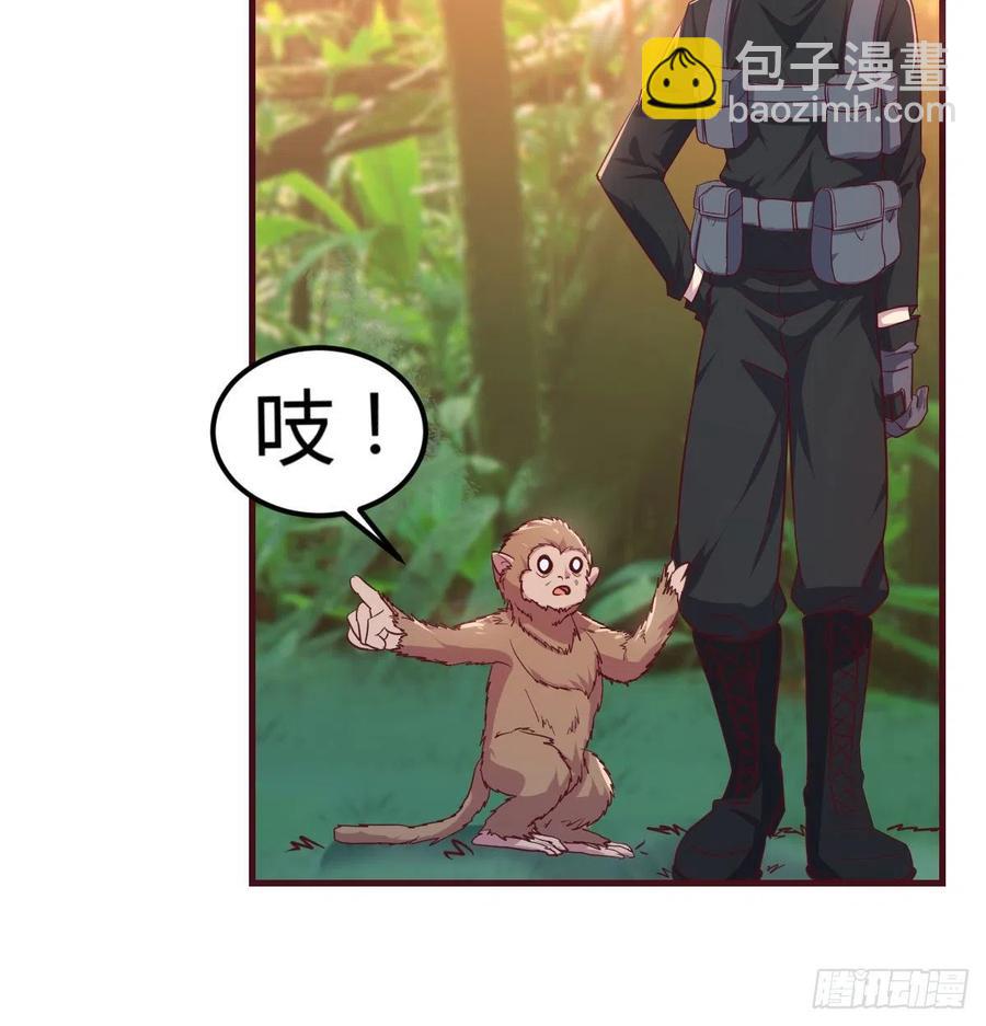 《荒岛换身游戏》给猴子调酒 第28页
