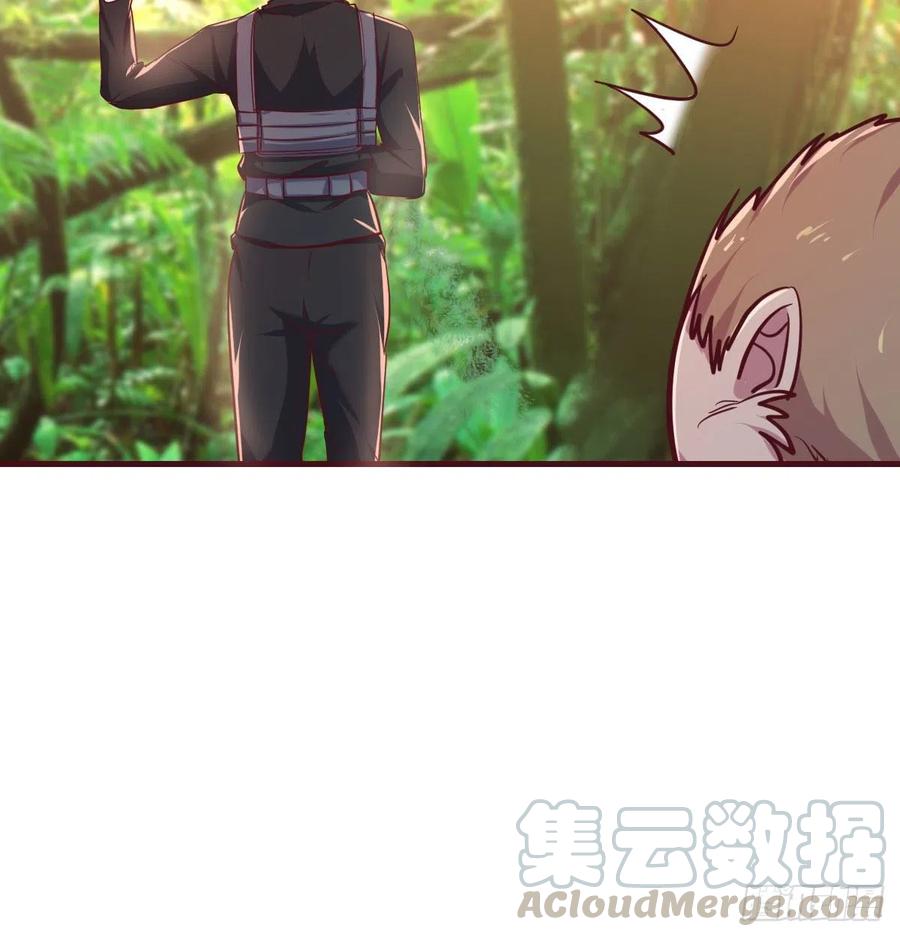 《荒岛换身游戏》给猴子调酒 第31页