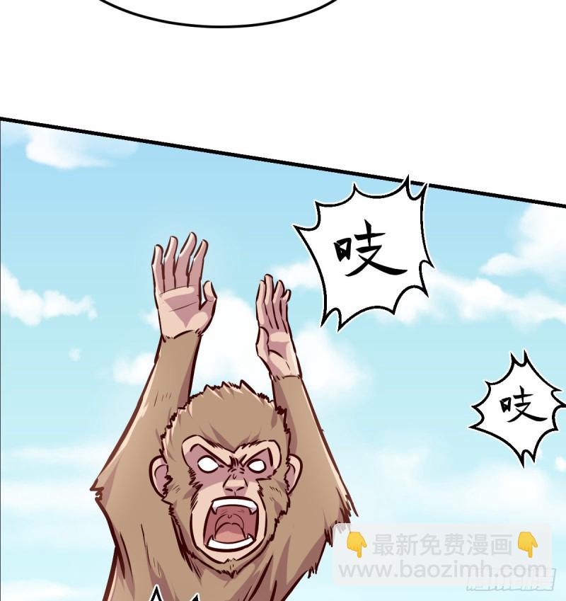 《荒岛换身游戏》老阴比 第15页