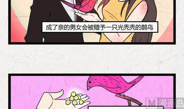 《黑鸡汤》七夕银河小镇 第7页