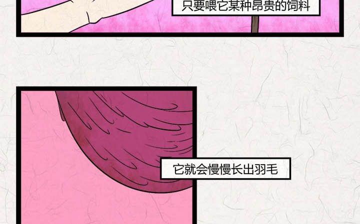 《黑鸡汤》七夕银河小镇 第8页