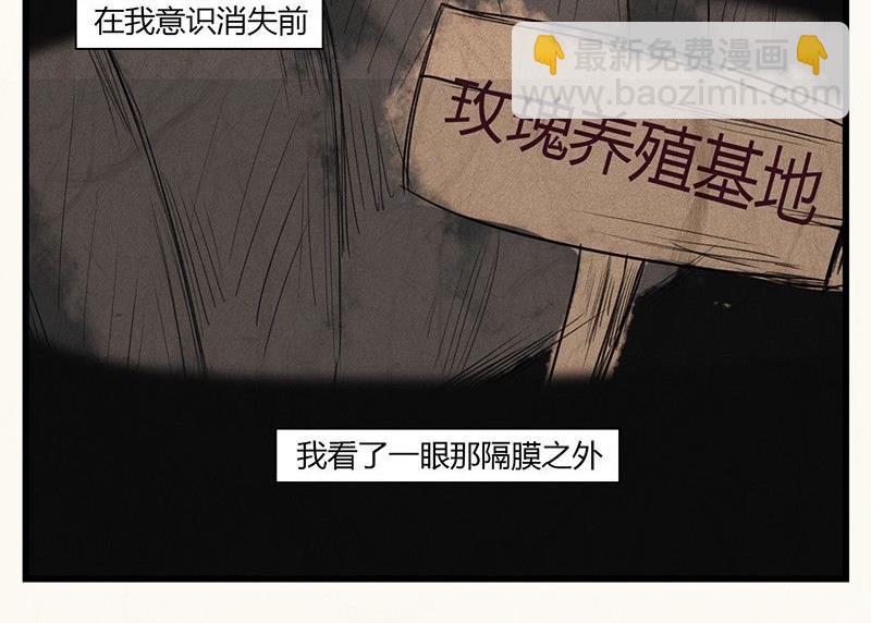 《黑鸡汤》情人节玫瑰恋人 第38页