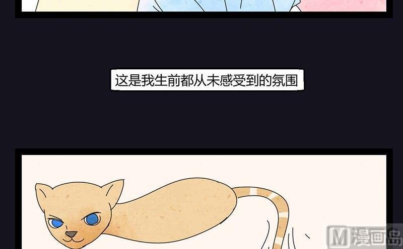 《黑鸡汤》中元节 52赫兹 第46页