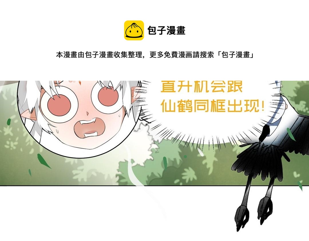 《白骨师妹是一级保护动物》新作预告这是个什么世界！ 第31页