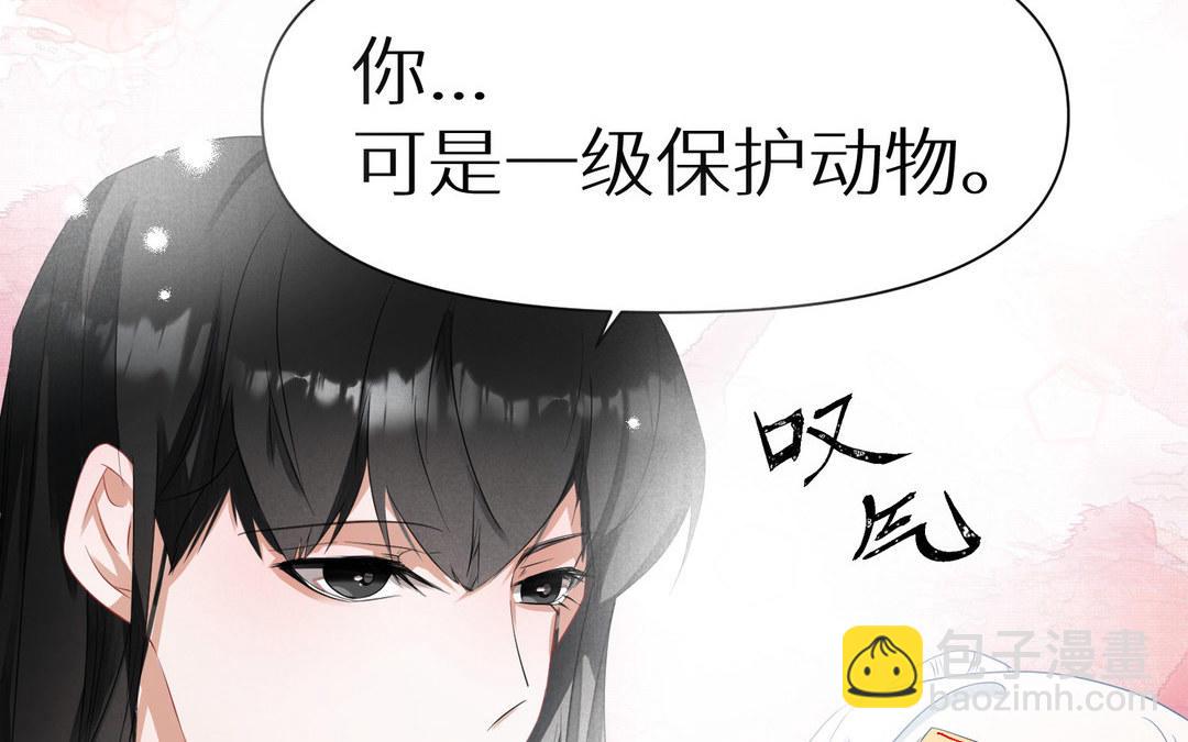 《白骨师妹是一级保护动物》第6话 梦梦仙子来了 第37页