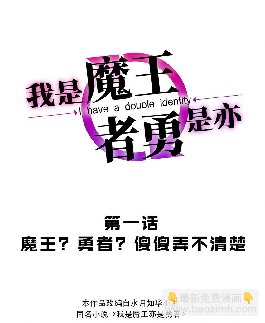 《我是魔王亦是勇者》001 魔王？勇者？啥啥弄不清楚 第17页