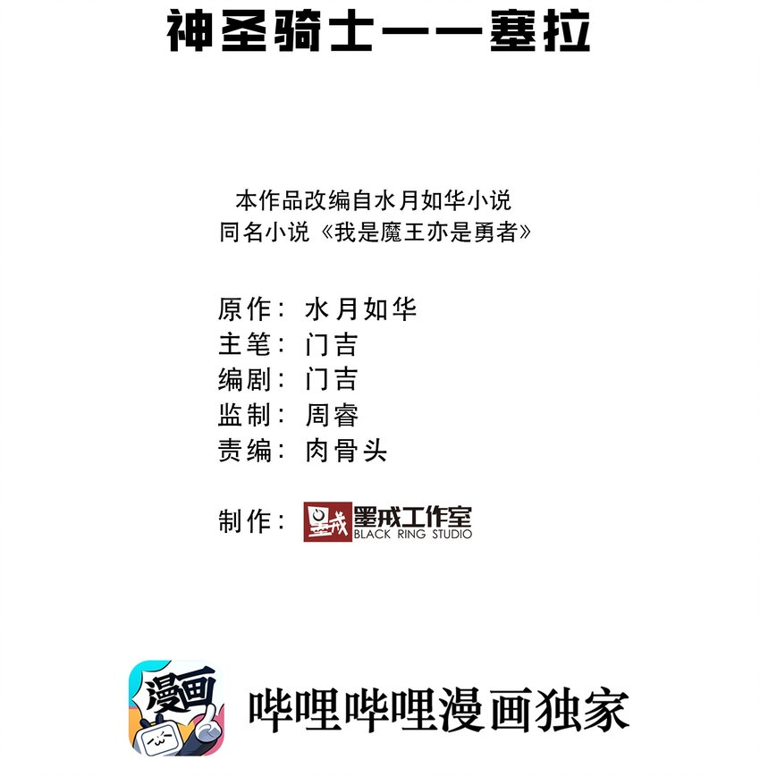 《我是魔王亦是勇者》008 神圣骑士——塞拉 第2页