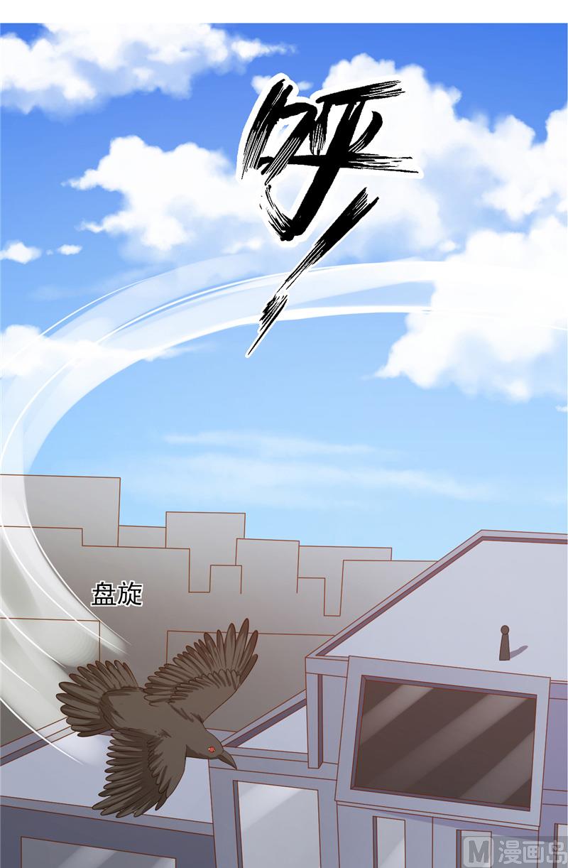 《神秘公子太黏人》第28话 接人 第12页
