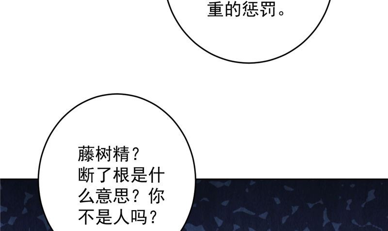 《神秘公子太黏人》第38话 污蔑 第28页