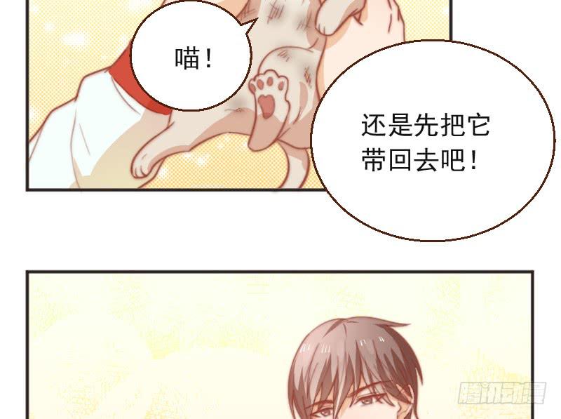 《请和梦中的我谈恋爱》第9话 睡星人VS喵星人 第48页