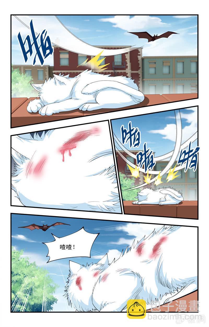 《三寸乱》23 第5页