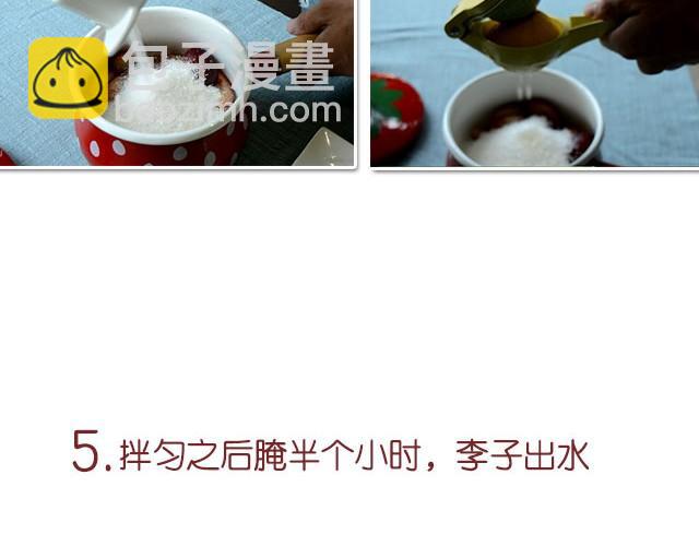 《半饱》第11期 红李酱+肉桂苹果派风乳酪蛋糕 第10页