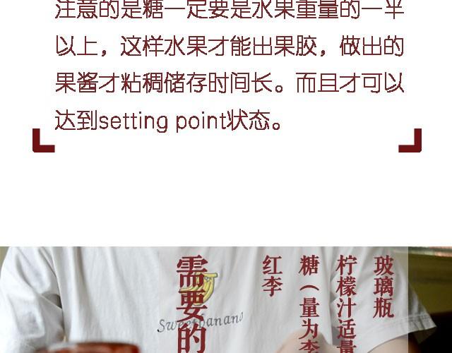 《半饱》第11期 红李酱+肉桂苹果派风乳酪蛋糕 第3页