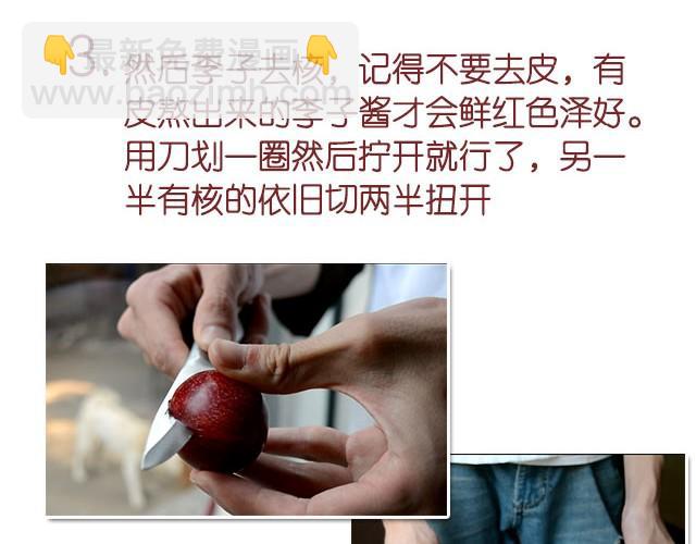 《半饱》第11期 红李酱+肉桂苹果派风乳酪蛋糕 第8页