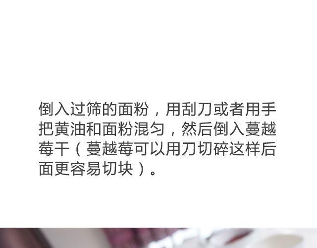 《半饱》第16期 蔓越莓奶酥 第15页
