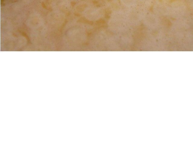 《半饱》第24期惊现公司的泡芙 第13页