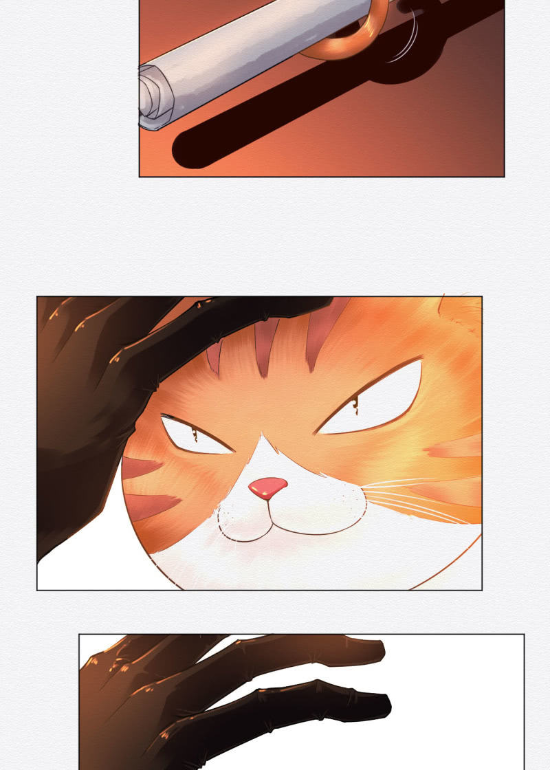 《谢东风》橘猫 第22页