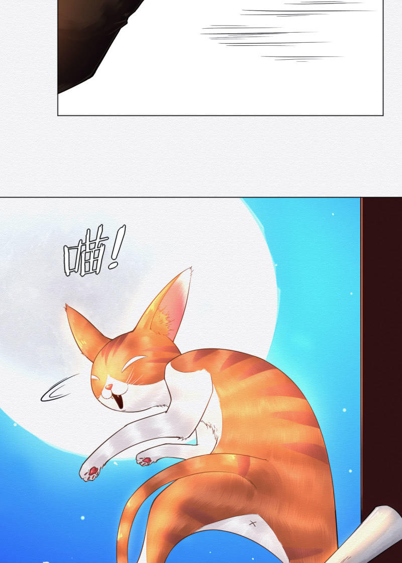 《谢东风》橘猫 第23页