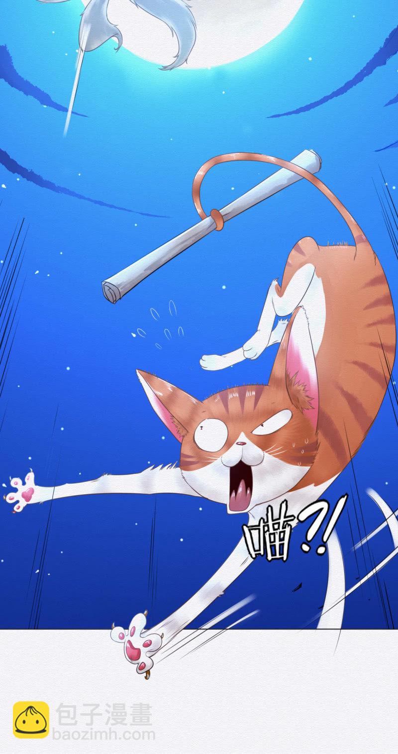 《谢东风》橘猫 第31页