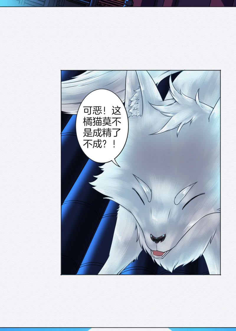 《谢东风》锦鲤 第7页
