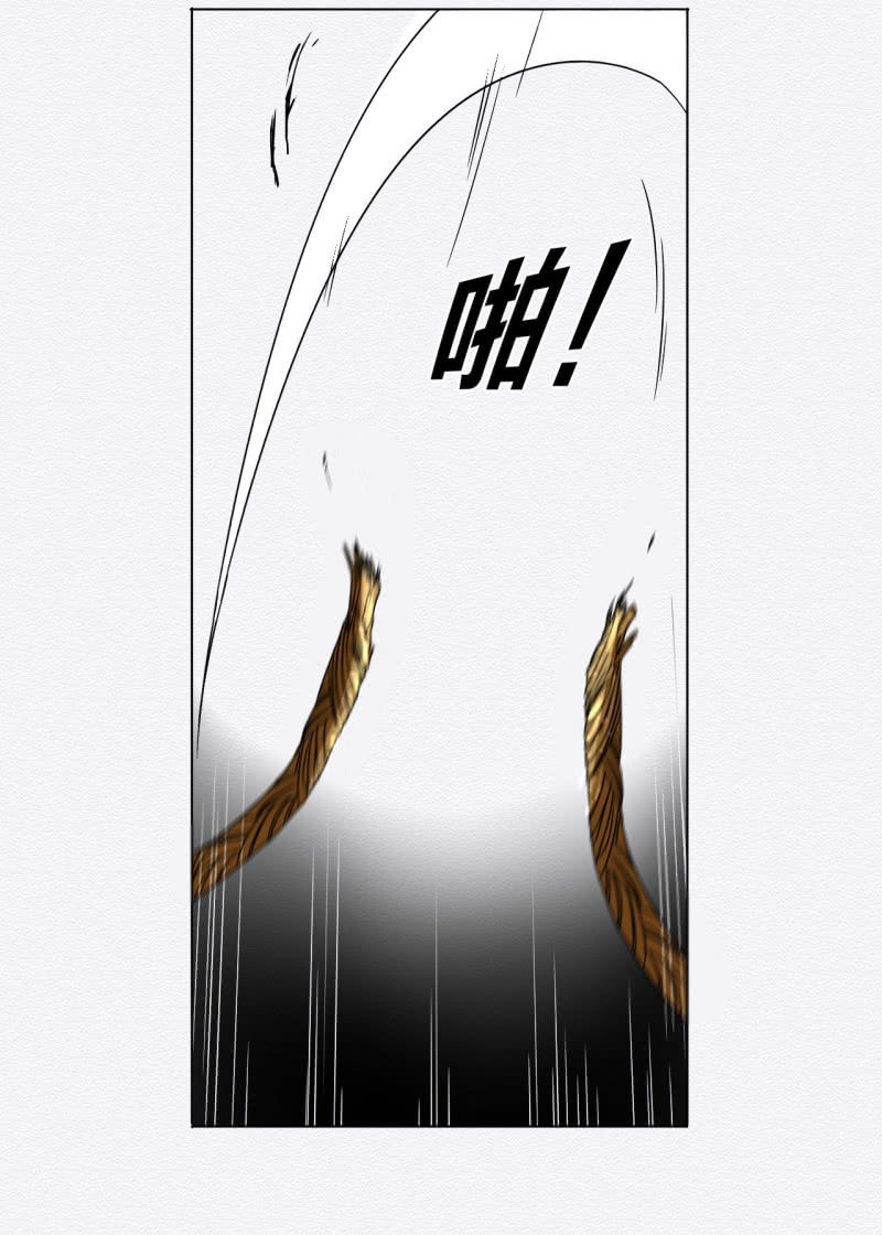 《谢东风》蟹煲 第8页