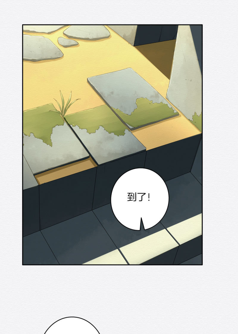 《谢东风》桃源 第3页