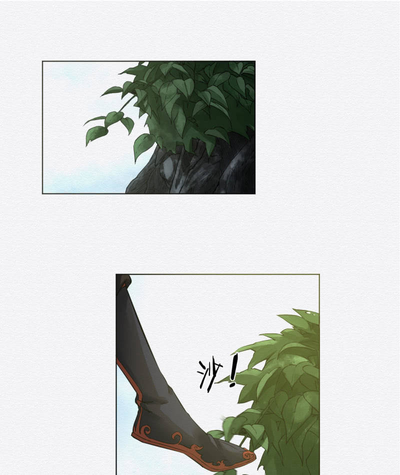 《谢东风》鸢尾花 第25页
